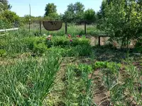 ПРОДАМ ДОМ В ДАЧНОМ КООПЕРАТИВЕ ТАМАРИКС зимний вариант, фотография 9