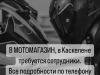 Предлагаю работу