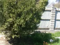 Продам дачу в Алматинской области севернее поселка Кендала. ПК Восход., фотография 10