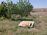 Продам участок 50 соток ЛПХ, Казахстан, Алматинская область, Жабылский район, село Улгили, фотография 7