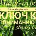 Мини-курс 