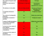 Производство природных почвоулучшителей