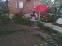 Кирпичный дом на большом участке, Усть-Каменногорск, ул. Щербакова, д. 31а, фотография 6