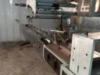 Горизонтальная упаковочная машина ЛИНЕПАК ТФ-2-03, фотография 2