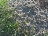 Продается земельный участок с фундаментом в городе Акколь, 8 соток, фотография 6