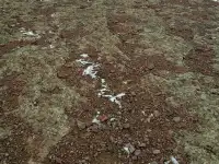 продам месторождение строительного камня, п. Караой, фотография 3