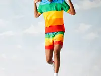 Мужское поло lacoste polaroid