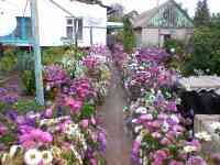 Продается дом пос. Первомайский, фотография 7