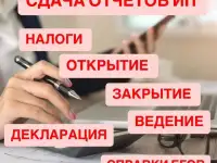 Ип отчеты Налоговые отчеты Открытие Закрытие Ип Сдача отчетов