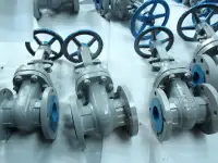 Задвижки клиновые ASME API Gate valves ASME API, фотография 3