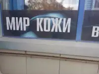 Мси шью, фотография 11