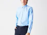 Мужская хлопковая рубашка lacoste