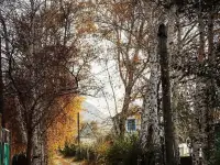 Дача, фотография 10