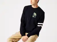 Мужской свитер lacoste  из смеси шерсти и хлопка