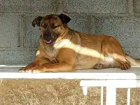 В самые ответственные руки, фотография 2