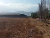 Продажа ровных участков в Узынагаш., фотография 4