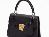 Сумка aizhan assenbayeva