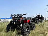 Квадроцикл 250сс на кардане, фотография 4