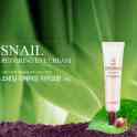 Крем для глаз Secret Key Snail Repairing Eye Cream, фотография 2