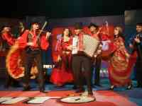 Аккордеонист/Баянист/Музыкант/Ведущий/Артисты/Цыгане, фотография 5