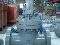 Задвижки клиновые ASME API Gate valves ASME API, фотография 2