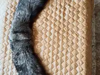 Берет фетровый, воротник чернобурка, фотография 2