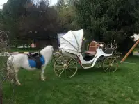 Сани кареты, фотография 11