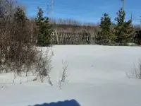 Продам дачи, фотография 4