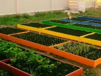 Сборные грядки, фотография 3