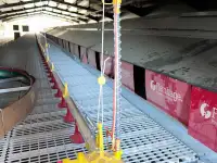 Сельскохозяйственный комплекс - Птицефабрика и теплица., фотография 2