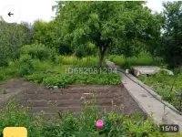 СРОЧНО ПРОДАМ ДАЧУ, СК Мелиоратор, фотография 2