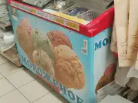 Ларь-бонета Gamma 250, фотография 4