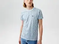 Мужская футболка lacoste oversize fit из хлопка