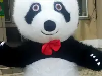 Аниматор мишка панда