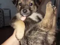 Забери меня к себе, Добрый человек