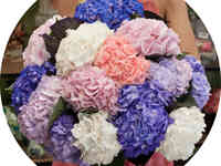 Букет «flora express»