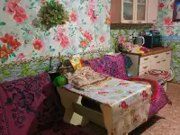 Продам не дорого 2х.ком.дом, Шемонаиха,ул.Нахимого 11, фотография 5