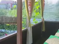 Продается дача, фотография 2