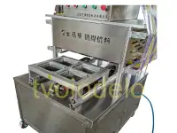 Вакуумная упаковочная машина WL-840, фотография 2