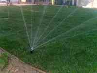 полив газона в астане, фотография 2