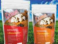 Разработка дизайна всех видов, фотография 10