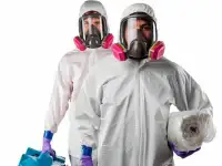 Требуется дезинфектор