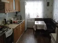 Продам благоустроенный дом, Акмолинская область,Бурабайский район,село Златополье, фотография 4