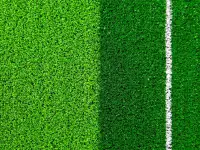 Искусственный газон