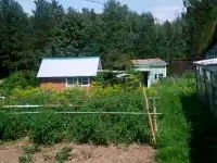 Продаю дом, ул Сосновая (школа биатлона), фотография 3