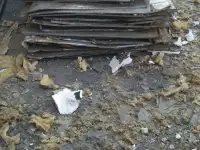 Продам нержавейка, фотография 2