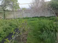 Продам дачу, участок, фотография 2