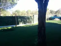 Предлагаю в аренду виллу Джорджия на Сардинии, фотография 2