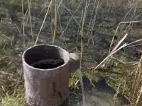 продажа земли КХ под фермерское хозяйство, Алматинская обл, пос Еламан, фотография 3