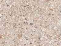 Коммерческий линолеум ПВХ/ VECTOR, фотография 5